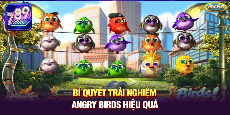 Bí quyết trải nghiệm Angry Birds hiệu quả